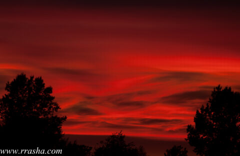 Beautiful Sunset during Richard Thompson’s performance at Vancouver Folk Festival, 2015.07.17