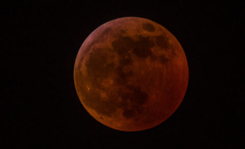 Blood Wolf Moon Over Vancouver, BC