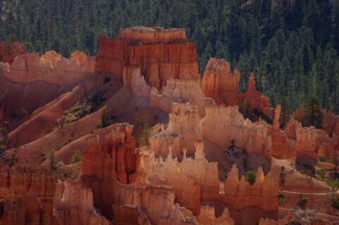 Detail From Peek-A-Boo Trail In Bryce Canyon National Park, UT