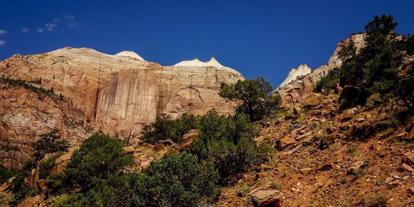 “Beehives” In Zion National Park, UT