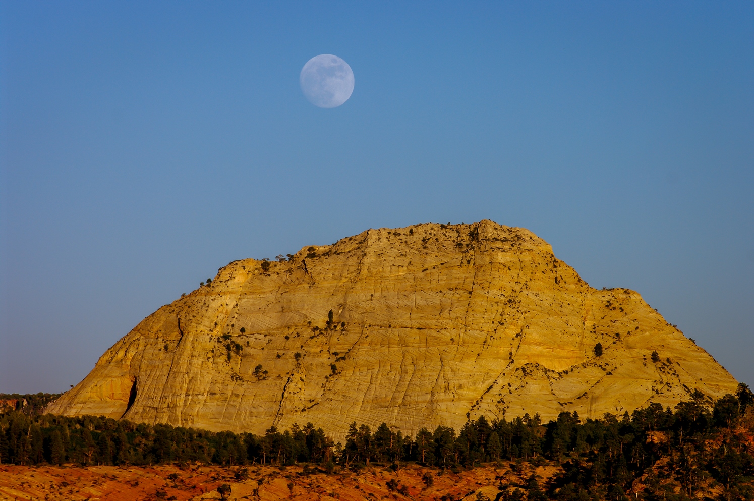 Full Moon Above Zion National Park, UT