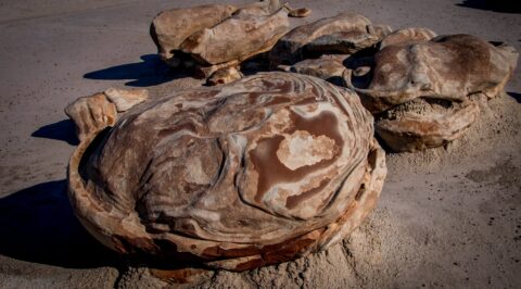 Alien Egg In Bisti Wilderness, New Mexico