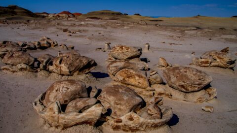 Aliens Egg Hatchery Is The Most Popular Location In Bisti Wilderness, New Mexico