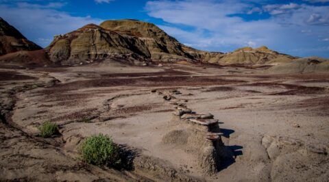 Alliance In Bisti Wilderness, New Mexico