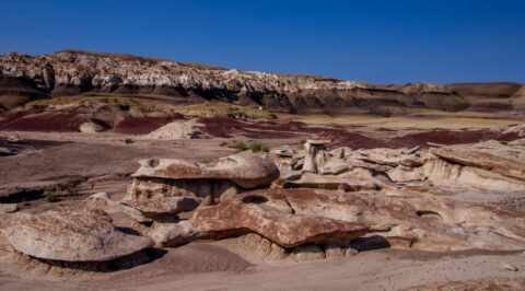 Amazing Shapes And Colors In Bisti Wilderness, New Mexico