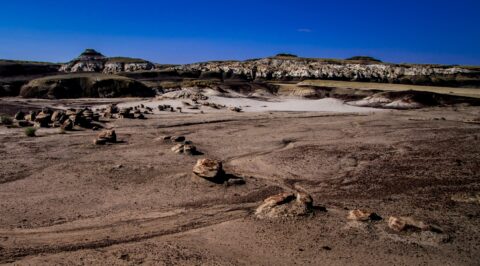 Another Aliens Egg Hatchery In Bisti Wilderness, New Mexico
