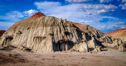 Another Scenic Detail In Bisti Wilderness, New Mexico