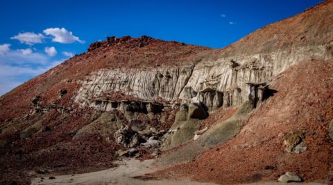 Badland Scenery In Bisti Wilderness, New Mexico