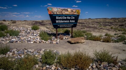 De-Na-Zin – Bisti Wilderness, New Mexico