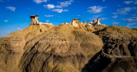 Happy To Find Three Wings In Bisti Wilderness, New Mexico