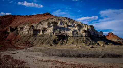 Hoodoos Escaping Sediments In Bisti Wilderness, New Mexico