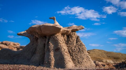 One Of Many Rock Formations In Bisti Wilderness, New Mexico