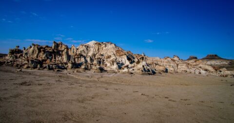 Rock Garden In Bisti Wilderness, New Mexico