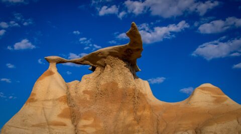 The Most Scenic Of Three Wings In Bisti Wilderness, New Mexico