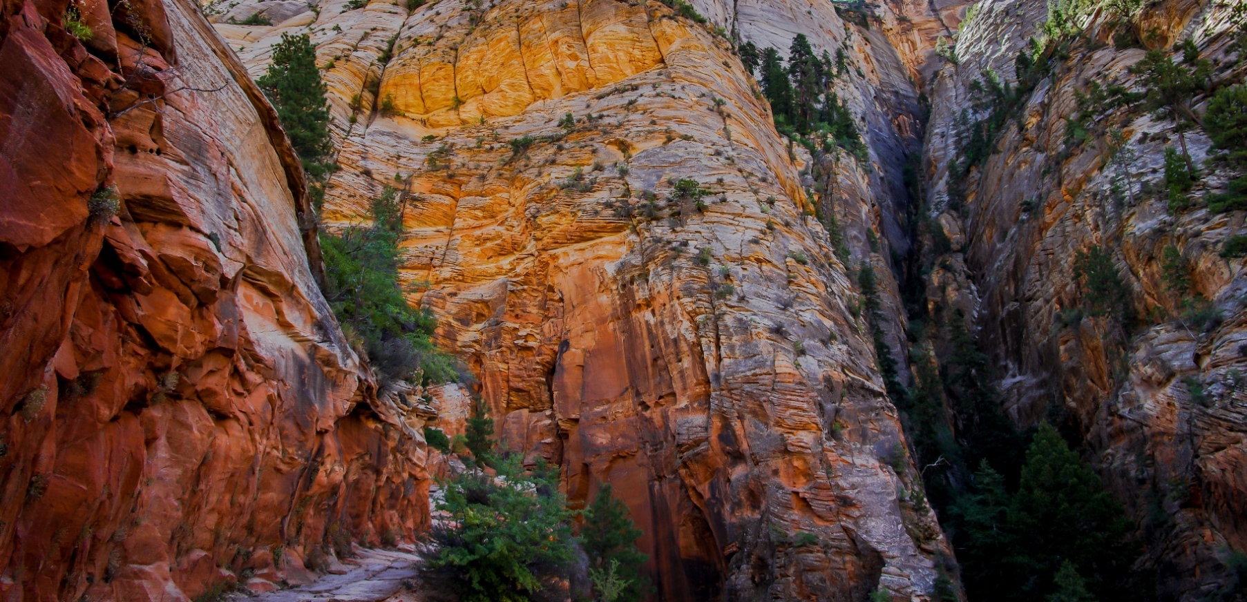 About Midpoint Of Trail To Observation Point In Zion National Park, UT