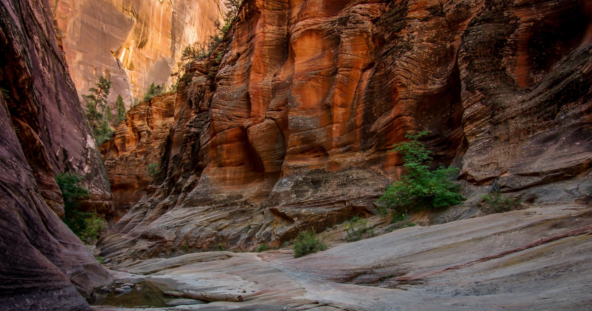 Beautiful Echo Canyon Along Trail To Observation Point In Zion National Park, UT