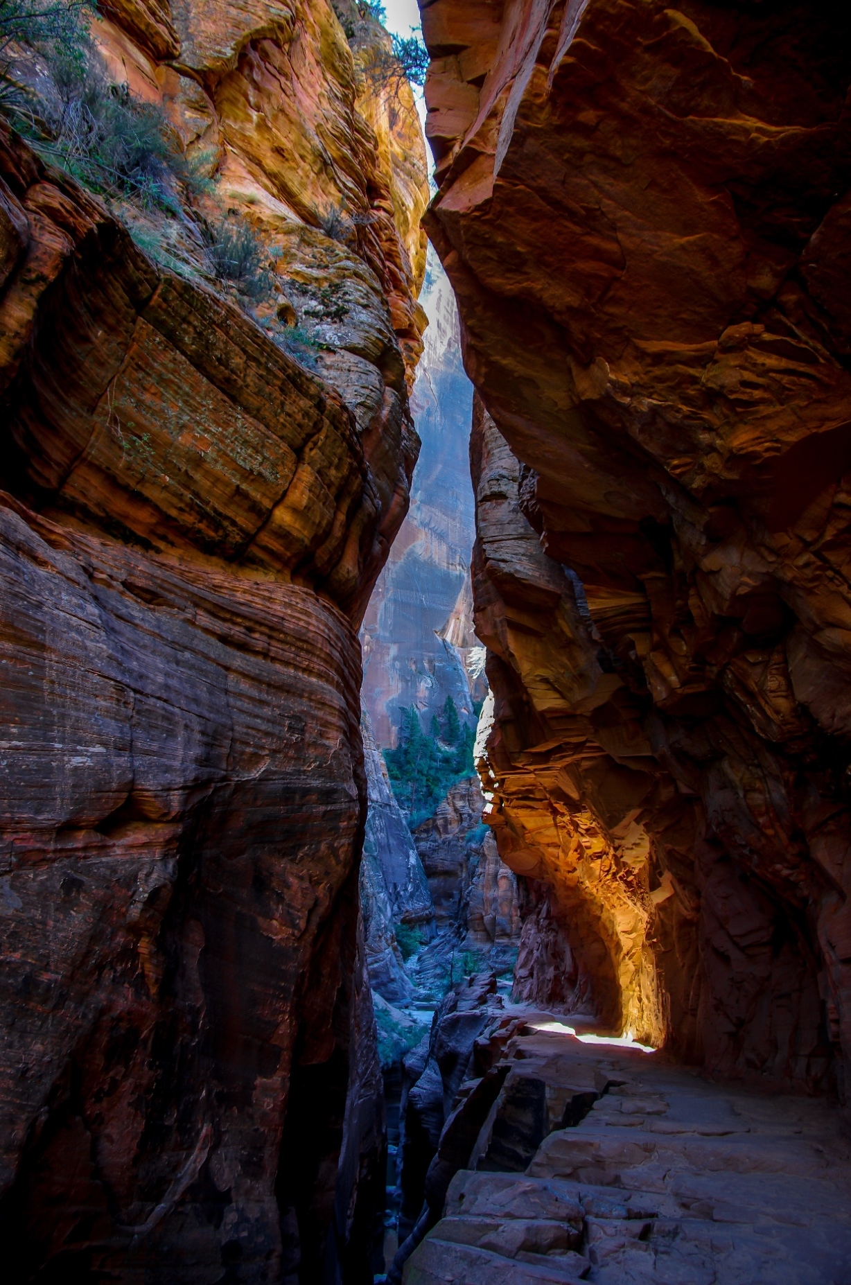 Shadow And Light In Echo Canyon, On Trail To Observation Point In Zion National Park, UT