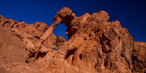 Close Look At Elephant Rock In Valley Of Fire State Park, NV
