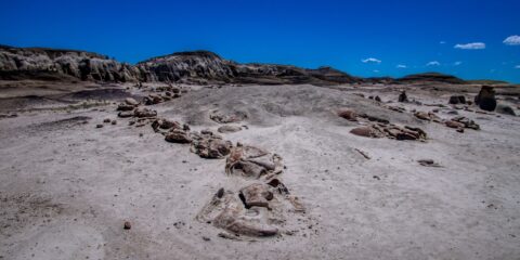 Approaching Alien Cracked Eggs In Bisti Wilderness, NM