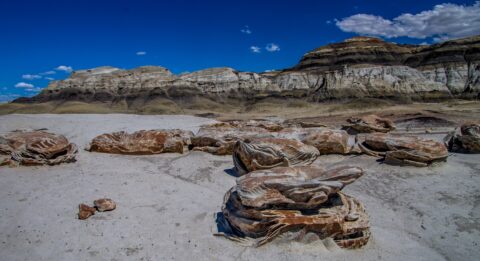 Beautiful Day In Garden Of Alien Cracked Eggs In Bisti Wilderness, NM