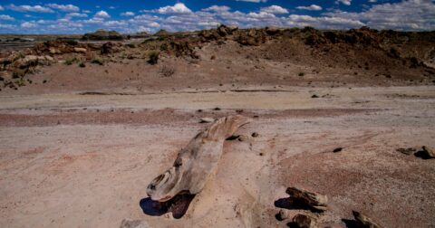 Concord Shaped Rock On Take Off In Bisti Wilderness, NM
