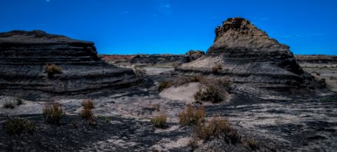 Different Colors Of Badlands In Bisti Wilderness, NM