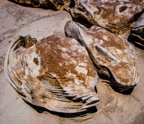 Different Shaped Alien Cracked Eggs In Bisti Wilderness, NM