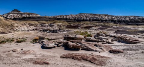 Far Away From Trailhead You Find This Beauty In Bisti Wilderness, NM