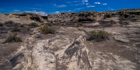 Heavily Eroded Land In Bisti Wilderness, NM