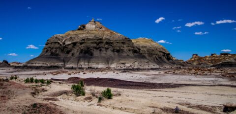 Hoodoo On Top Of The Hill In Bisti Wilderness, NM