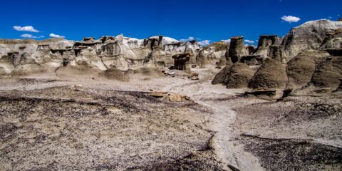 Hoodoos And Badlands In Bisti Wilderness, NM