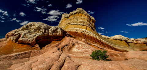 In Front Of Butterfly From The Other Angle at White Pocket Wilderness, AZ