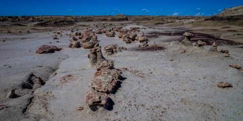 It Is Hard To Believe What You See In Bisti Wilderness, NM