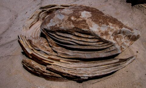 Multi-Layered Alien Cracked Egg In Bisti Wilderness, NM