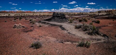 Soil Covered By Red Shale In Bisti Wilderness, NM
