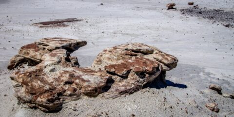 Strange Shaped Rock In Bisti Wilderness, NM