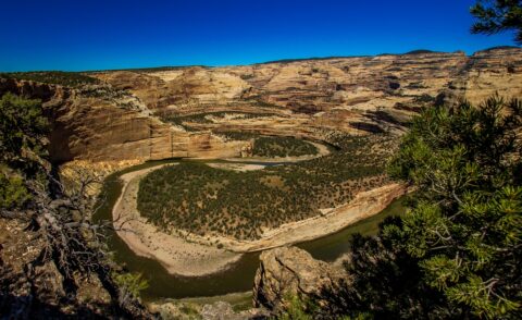 After Long Drive On Dirt Road I Reached Harding Hole Point With Yampa River Horseshoe Band In Dinosaur National Monument, Canyon Section, CO