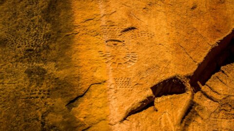 Another Group Of Pool Creek Petroglyps Are Hard To Find 10 Meters Above Ground In Echo Park In Dinosaur National Monument, Canyon Section, CO