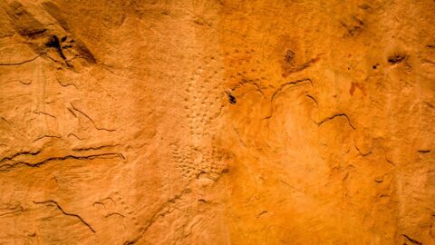 Another Group Of Pool Creek Petroglyphs In Echo Park In Dinosaur National Monument, Canyon Section, CO