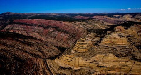 At The End Of Harper’s Corner Trail In Dinosaur National Monument, Canyon Section, CO