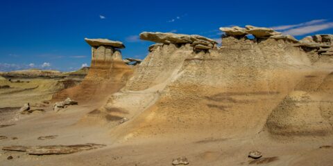 Beauty Of Wings And Arches In Bisti Wilderness, NM