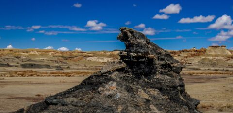 Black Howl In Bisti Wilderness, NM