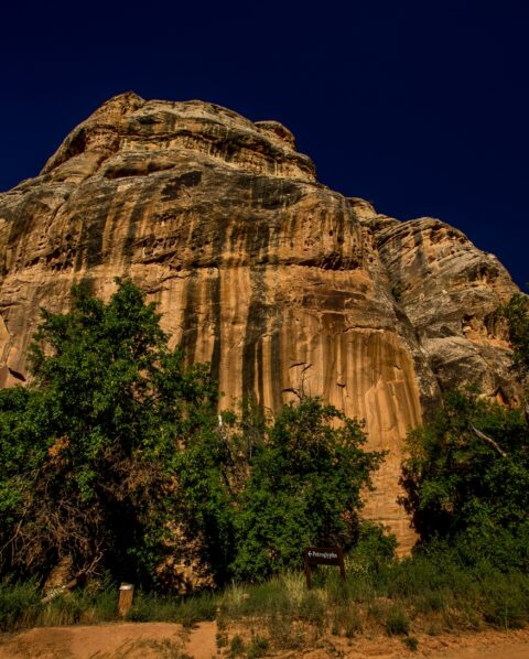 Boulder With Pool Creek Petroglyphs Along Echo Park Road, Echo Park In Dinosaur National Monument, Canyon Section, CO