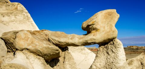 Dinosaur Bone Or Hoodoo(???) in Bisti Wilderness, NM