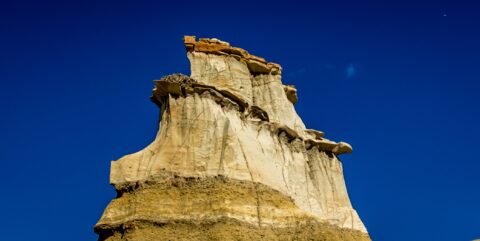 Eagle Nest High On Big Rocks In Bisti Wilderness, NM