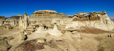 Garden Of White Hoodoos In Bisti Wilderness, NM