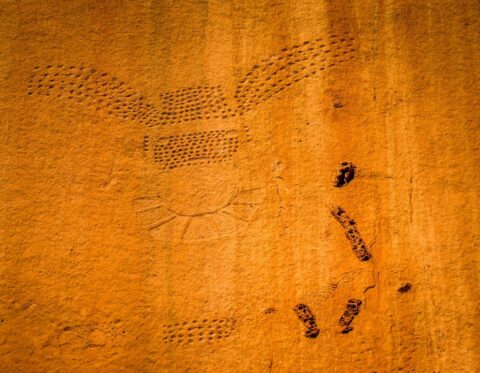 Incredible Pool Creek Petroglyphs Are 10 Meters Above Ground In Echo Park In Dinosaur National Monument, Canyon Section, CO