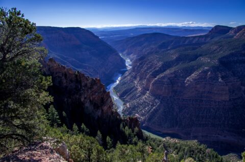 Look Down At Green River From Harper’s Corner Trail In Dinosaur National Monument, Canyon Section, CO