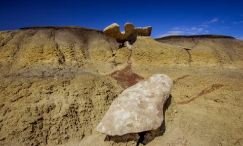 Rocks That Look Like Predator And Prey In Bisti Wilderness, NM
