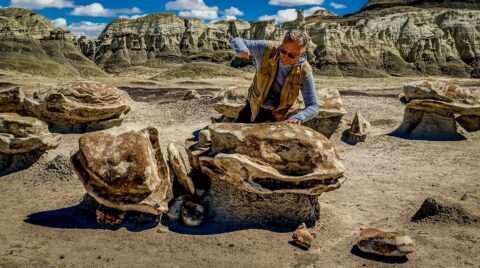rrasha Trying To Crack Another Alien Egg In Bisti Wilderness, NM
